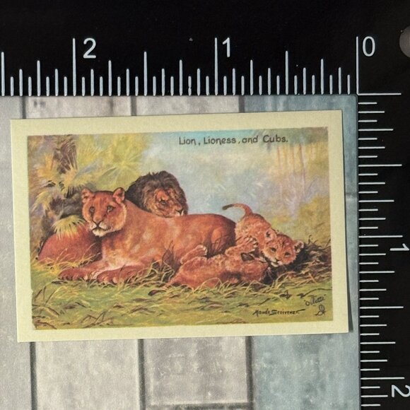 🌀10/$10🌀 Classic Grassland Animals Reusable Washi Sticker Decal - Picture 1 of 1